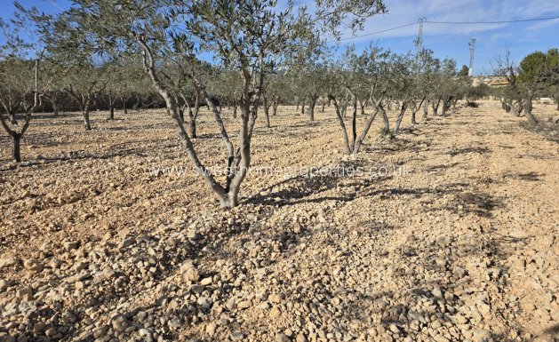 Resale - Plot - Hondon De Las Nieves - La cava