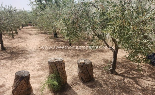 Resale - Plot - Hondon De Las Nieves - Comunidad valenciana