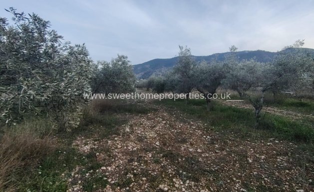 Reventa - Casa de campo - Hondon De Las Nieves - BAYON