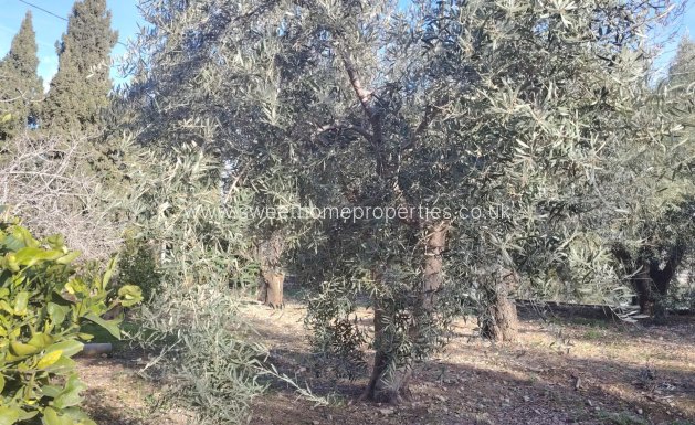 Reventa - Chalet - Aspe