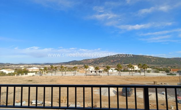 Obra nueva - Casa de campo - Pinoso