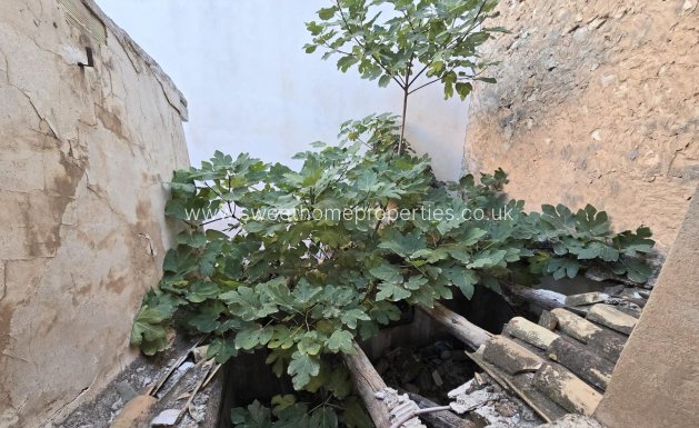 Resale - Town house - Aspe - Centro