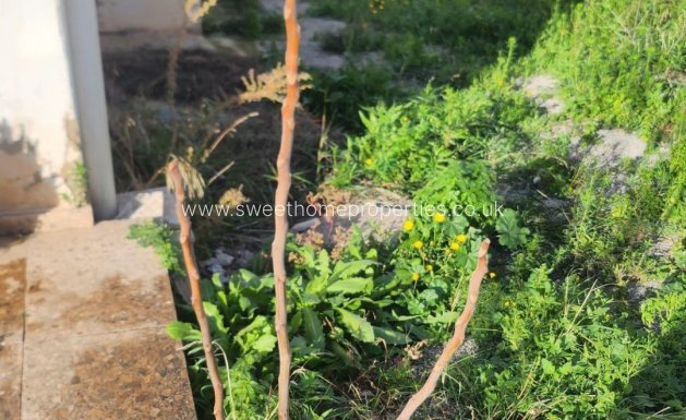 Reventa - Casa de campo - Aspe - Montesol