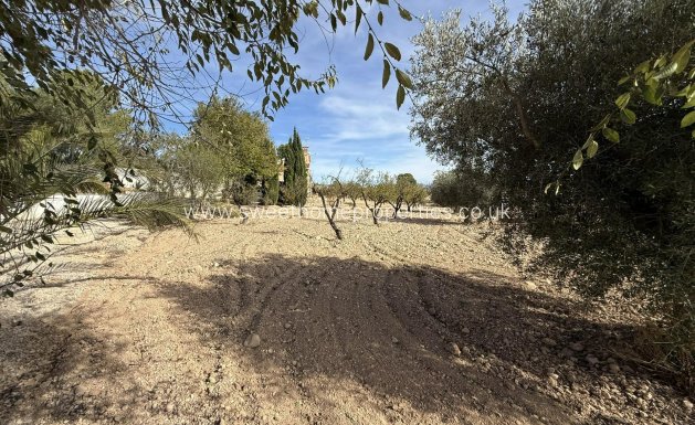 Reventa - Casa de campo - Jumilla - Torre del rico