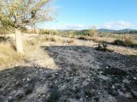 Venta - Casa cueva - Hondon De Las Nieves - LOS CALORES