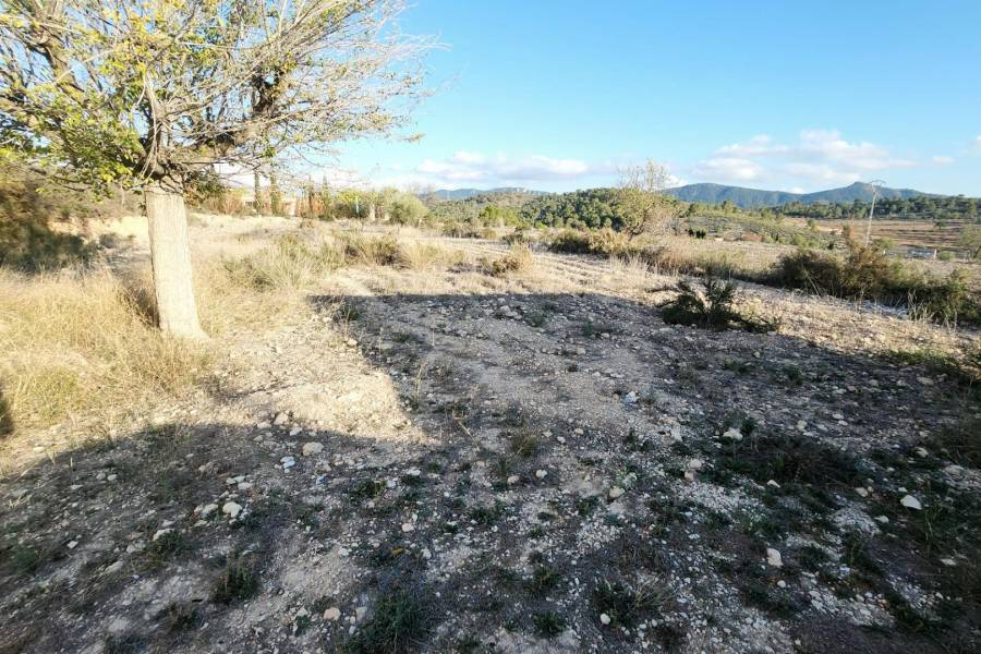 Venta - Casa cueva - Hondon De Las Nieves - LOS CALORES