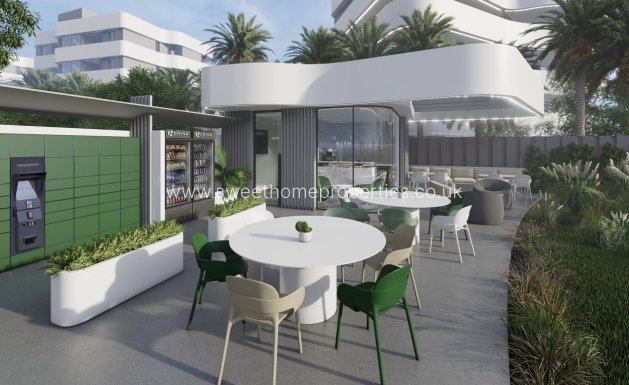 New Build - Penthouse - Guardamar Del Segura - El Raso