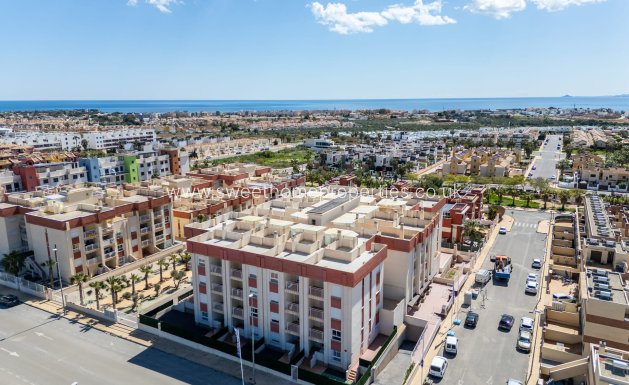 New Build - Apartment - Cabo Roig - Lomas de Cabo Roig