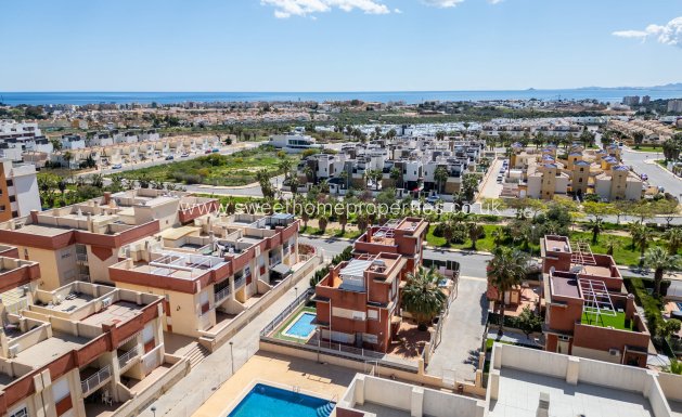 New Build - Apartment - Cabo Roig - Lomas de Cabo Roig