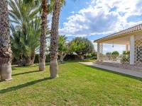 Venta - Casa de campo - Elche