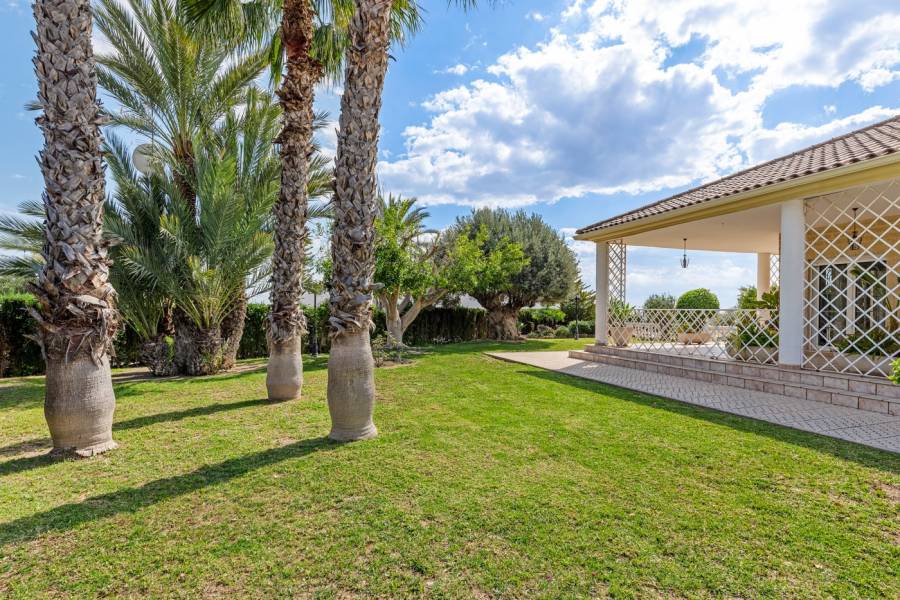 Venta - Casa de campo - Elche