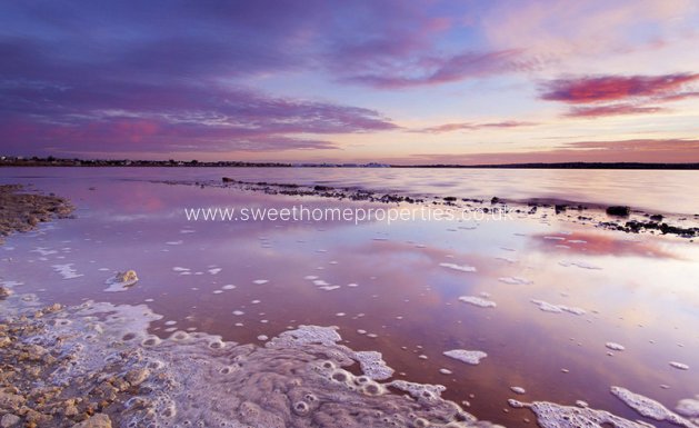 New Build - Apartment - Los Balcones - Los Balcones - Los Altos del Edén