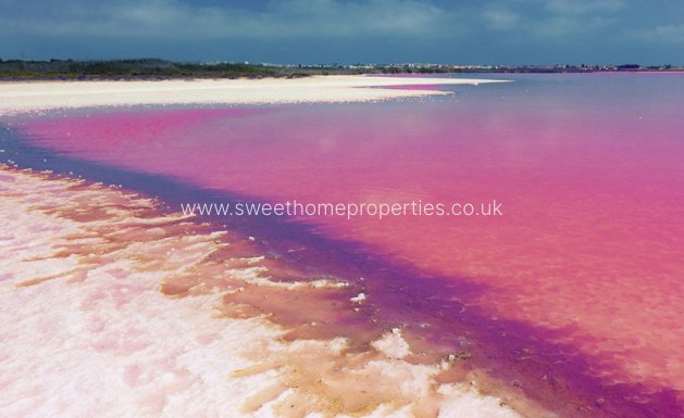 New Build - Apartment - Los Balcones - Los Balcones - Los Altos del Edén