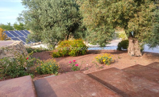 Resale - Country house - Pinoso