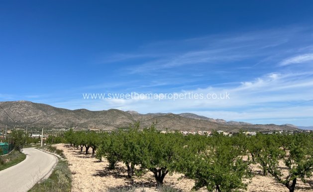 Resale - Plot - Hondon De Los Frailes