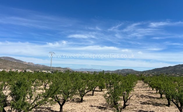 Resale - Plot - Hondon De Los Frailes