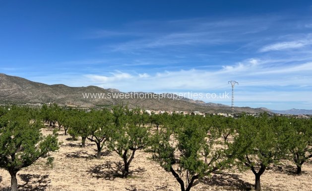 Resale - Plot - Hondon De Los Frailes