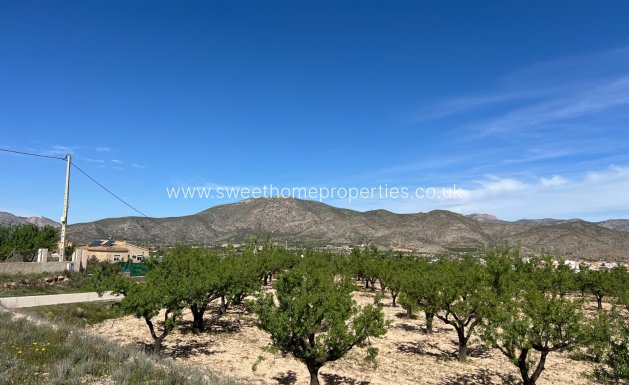 Resale - Plot - Hondon De Los Frailes