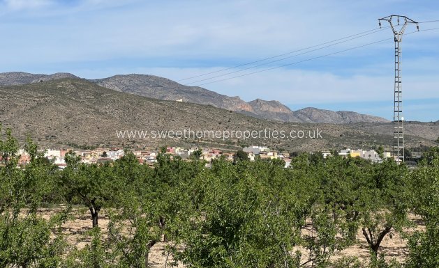Resale - Plot - Hondon De Los Frailes