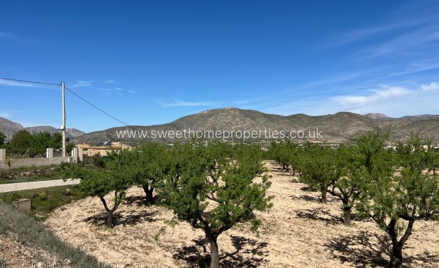 Resale - Plot - Hondon De Los Frailes
