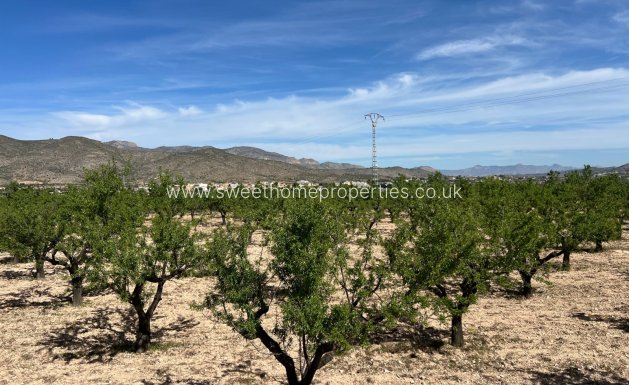 Resale - Plot - Hondon De Los Frailes