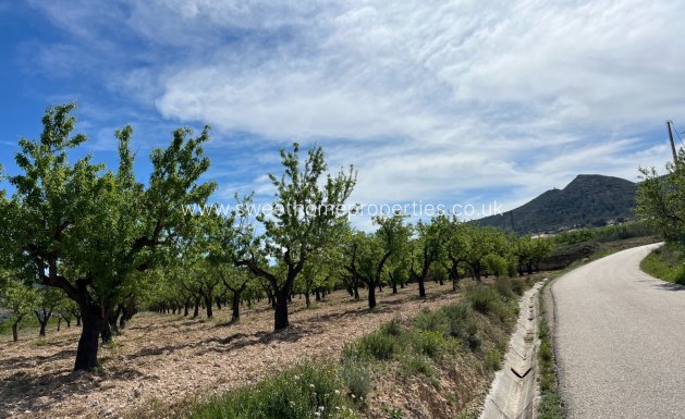 Resale - Plot - Hondon De Los Frailes