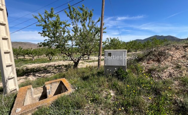 Resale - Plot - Hondon De Los Frailes