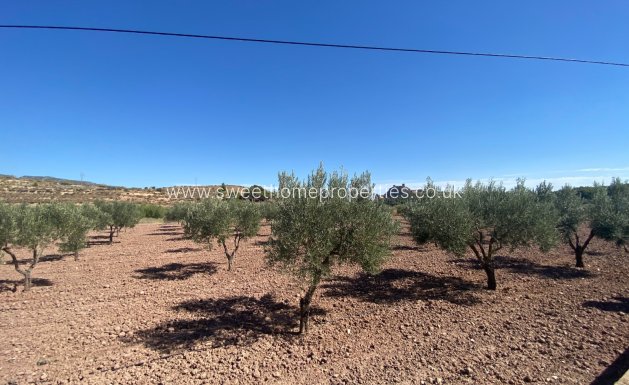 Resale - Country house - Sax