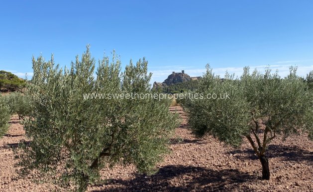 Resale - Country house - Sax