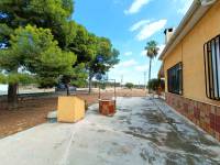 Venta - Casa de campo - Aspe