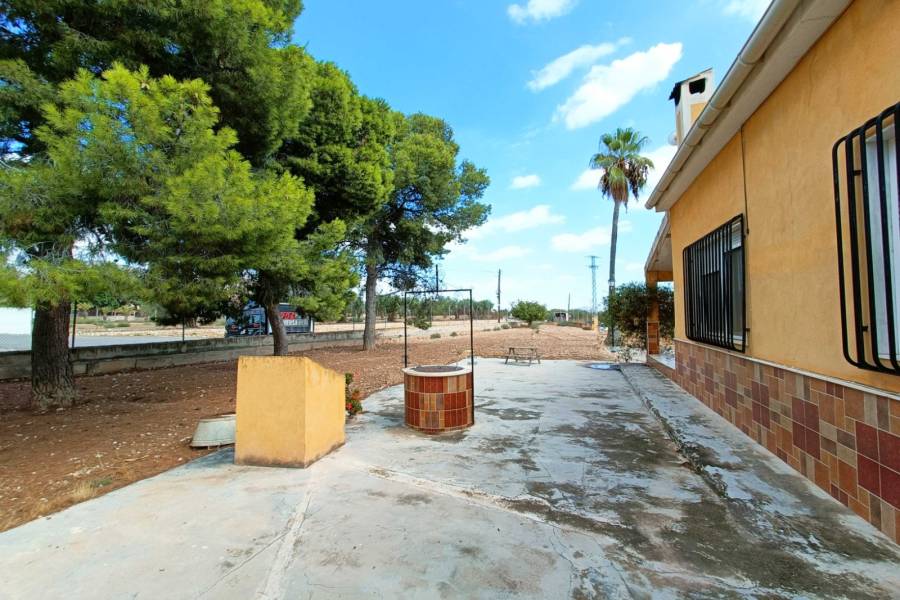 Venta - Casa de campo - Aspe