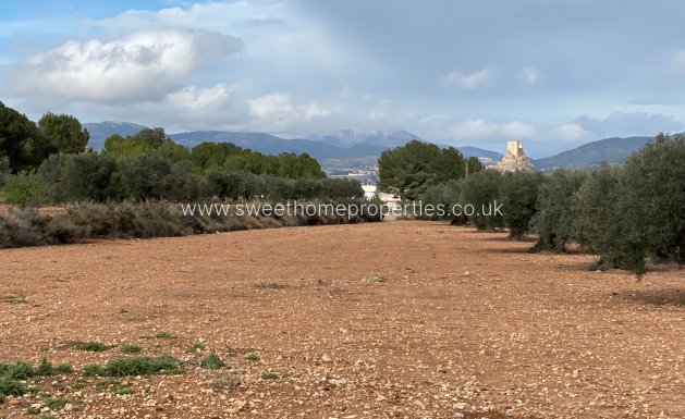 Resale - Country house - Sax