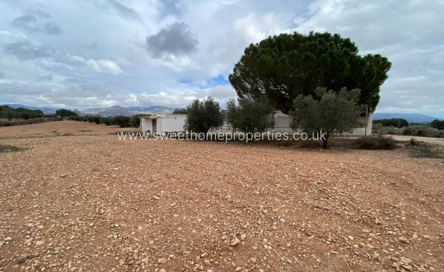 Resale - Country house - Sax