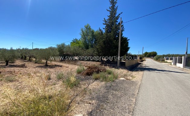 Reventa - Casa de campo - Salinas