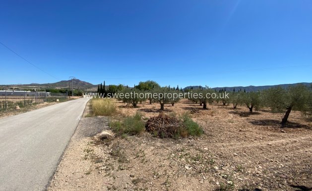 Reventa - Casa de campo - Salinas