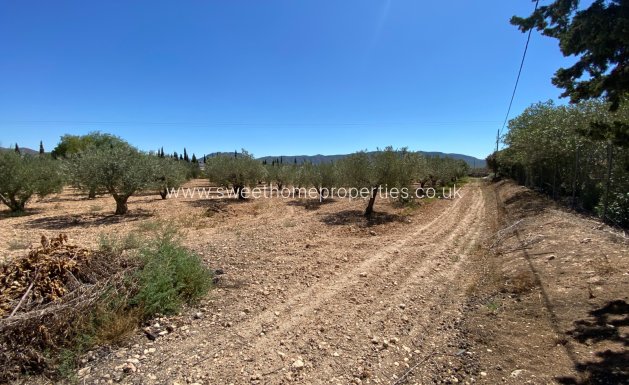 Reventa - Casa de campo - Salinas