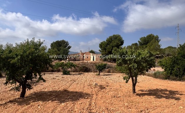 Reventa - Casa de campo - Monovar