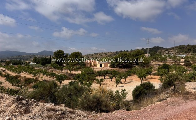 Reventa - Casa de campo - Monovar