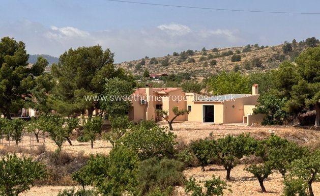 Reventa - Casa de campo - Monovar