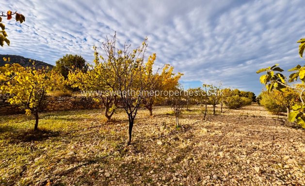 Resale - Country house - La Romana - LA ROMANA