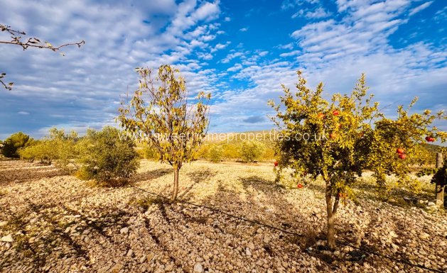 Resale - Country house - La Romana - LA ROMANA