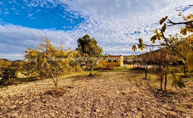 Resale - Country house - La Romana - LA ROMANA