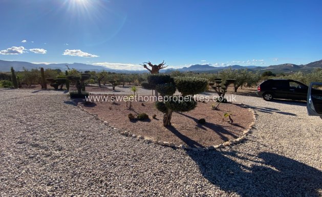 Resale - Country house - Sax