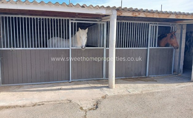 Resale - Country house - Monovar - MONOVAR