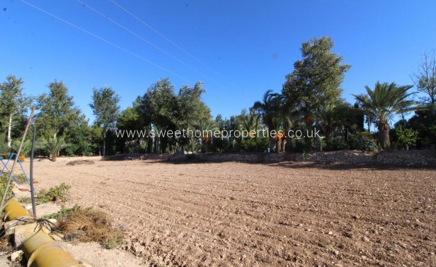 Resale - Villa - Crevillente - BARRANCO SAN CAYETANO