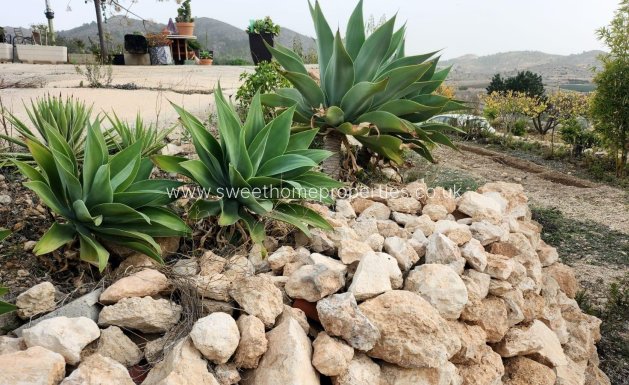 Reventa - Casa de campo - Hondon De Las Nieves - EL RINCON