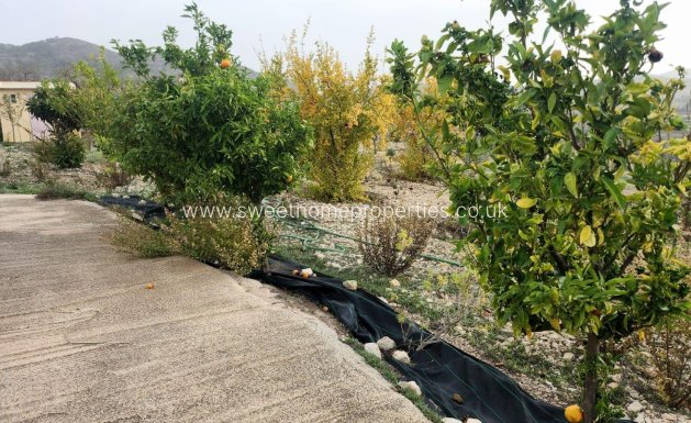 Reventa - Casa de campo - Hondon De Las Nieves - EL RINCON