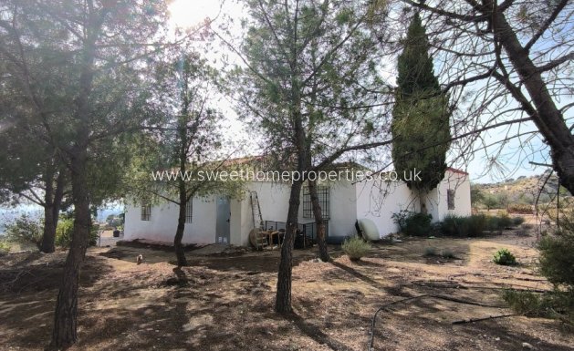 Resale - Country house - Fortuna
