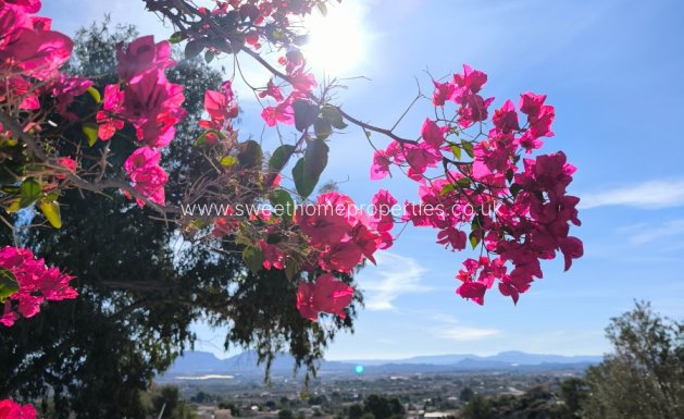 Resale - Country house - Fortuna