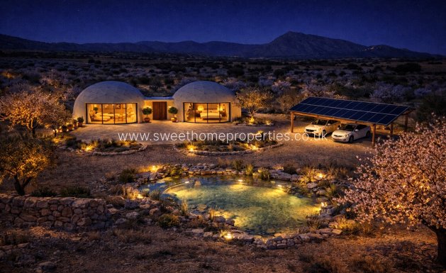 Obra nueva - Casa de campo - Pinoso